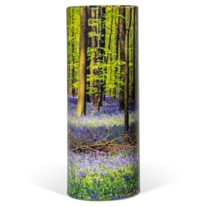 Bluebell-Wood